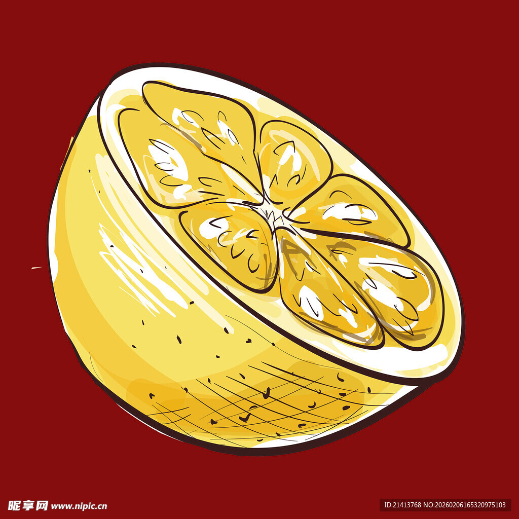 手绘柠檬切片图