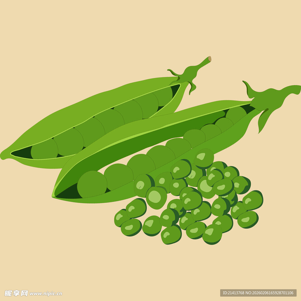 新鲜豌豆荚与饱满青豌豆