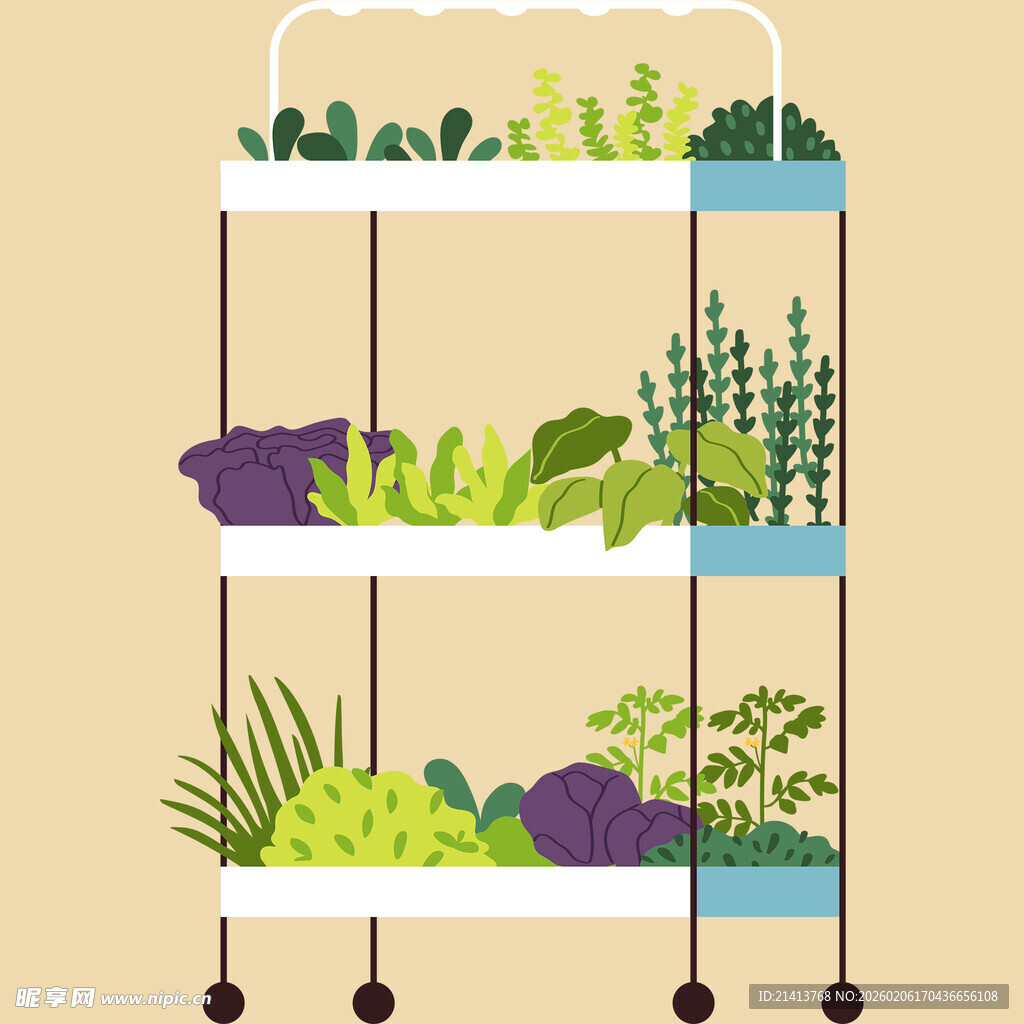 多层绿植架上的生机景象