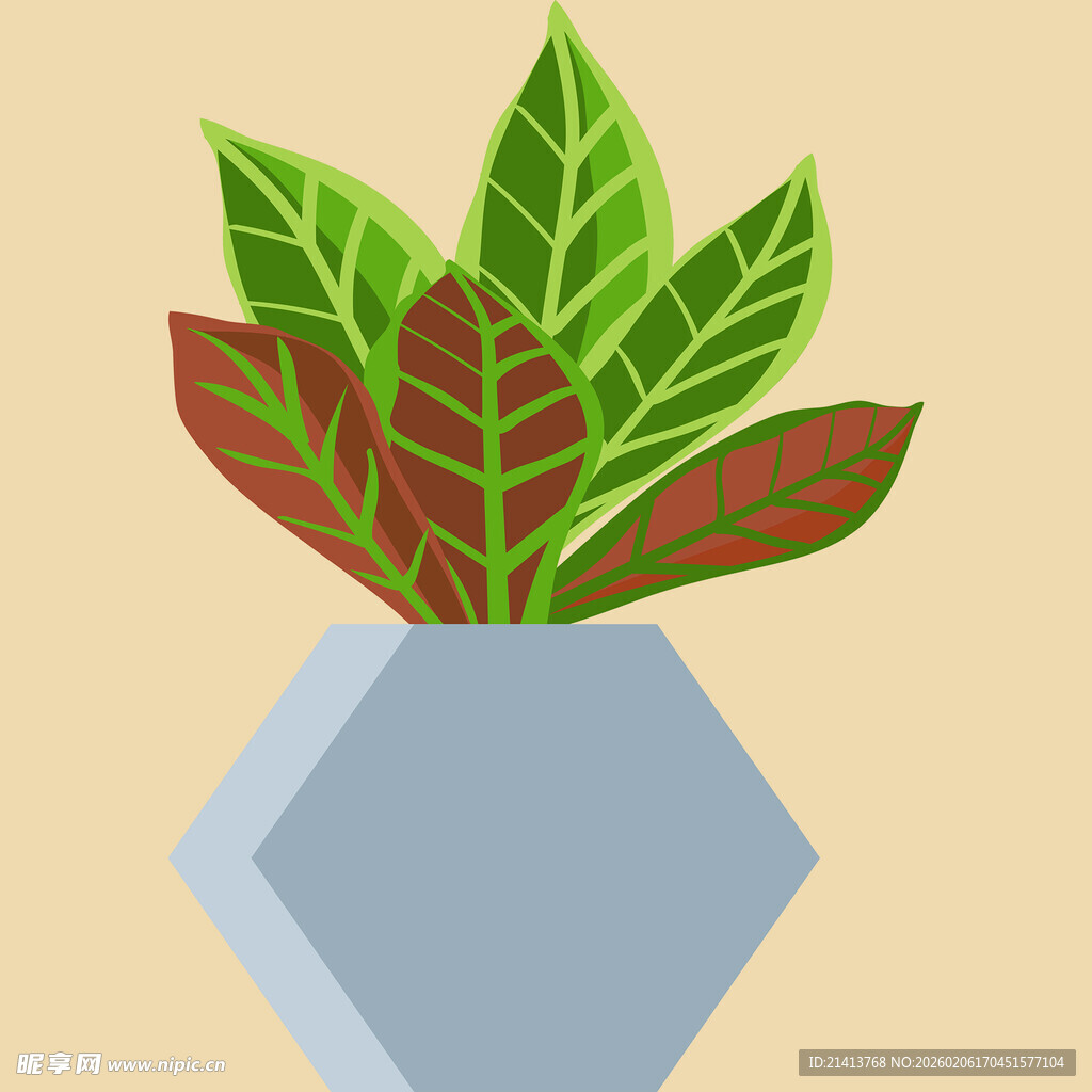 几何花瓶中的多彩植物