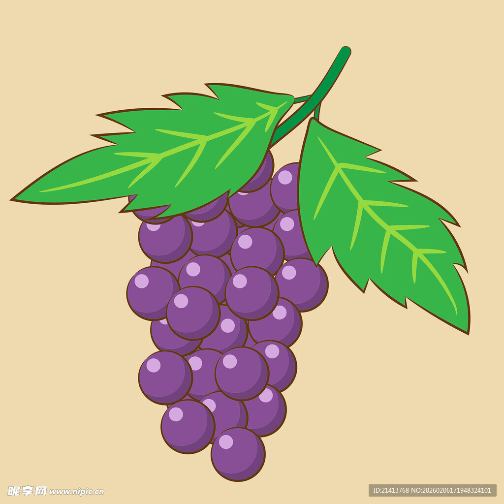 一串紫葡萄插画
