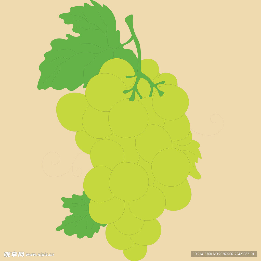 一串清新的绿色葡萄