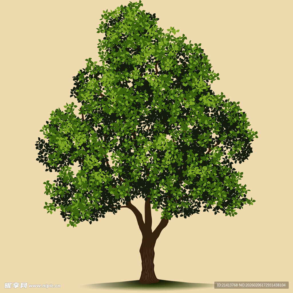单棵繁茂绿树插画