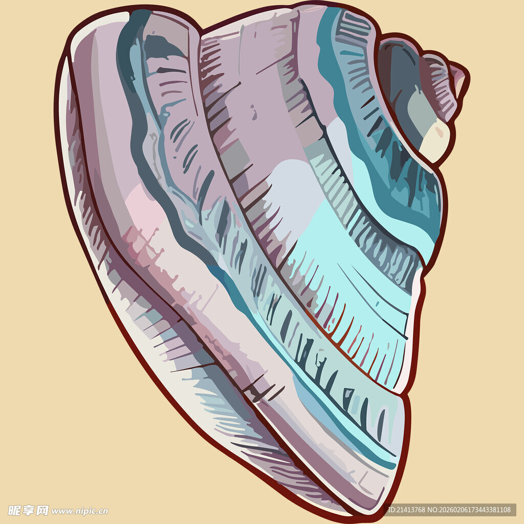 手绘彩色海螺图案