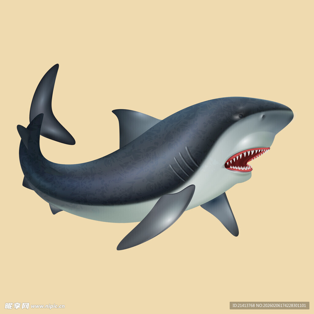 逼真鲨鱼模型展示