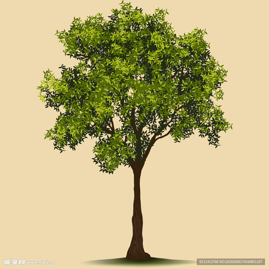 单棵绿树插画