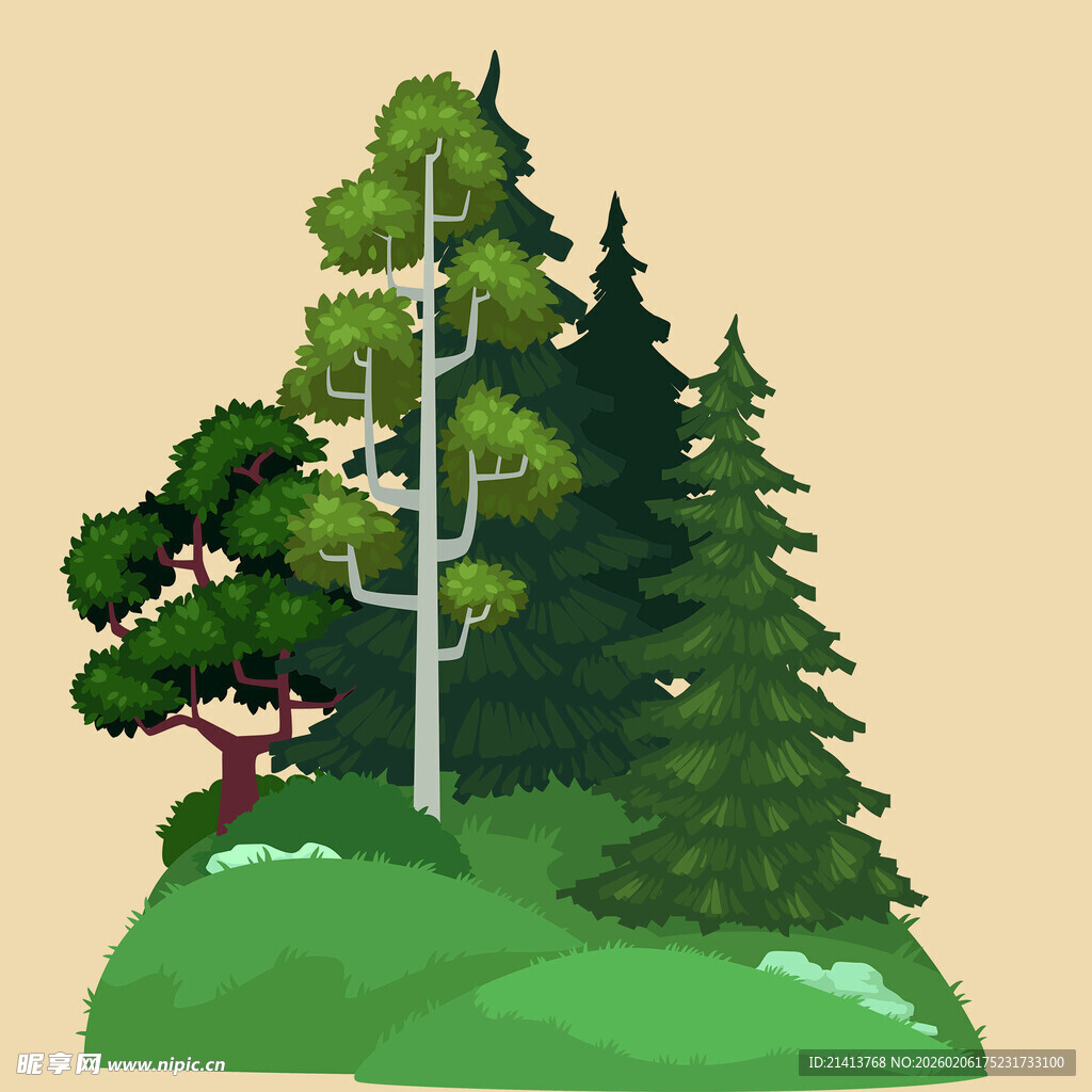 森林小景多样树木聚于一处