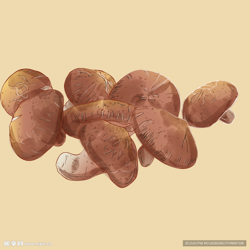 一堆棕色蘑菇插画