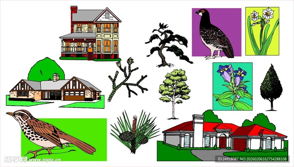 乡村风光与鸟类元素插画