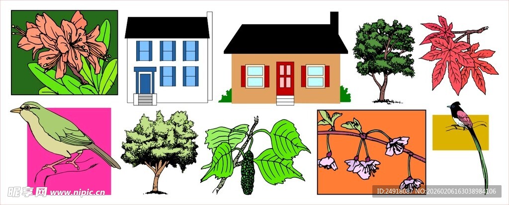 多彩植物与乡村小屋景观