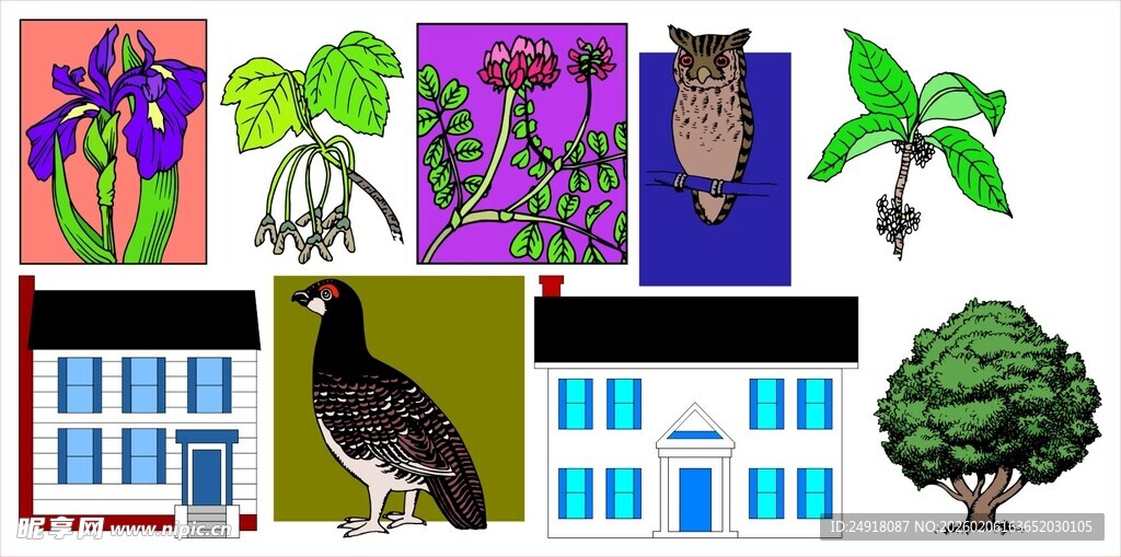 多样动植物与建筑场景