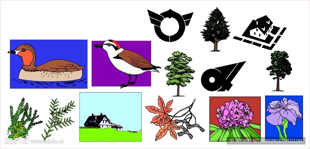 多样动植物素材集合