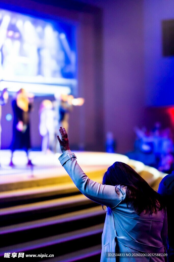 舞台前欢呼的观众