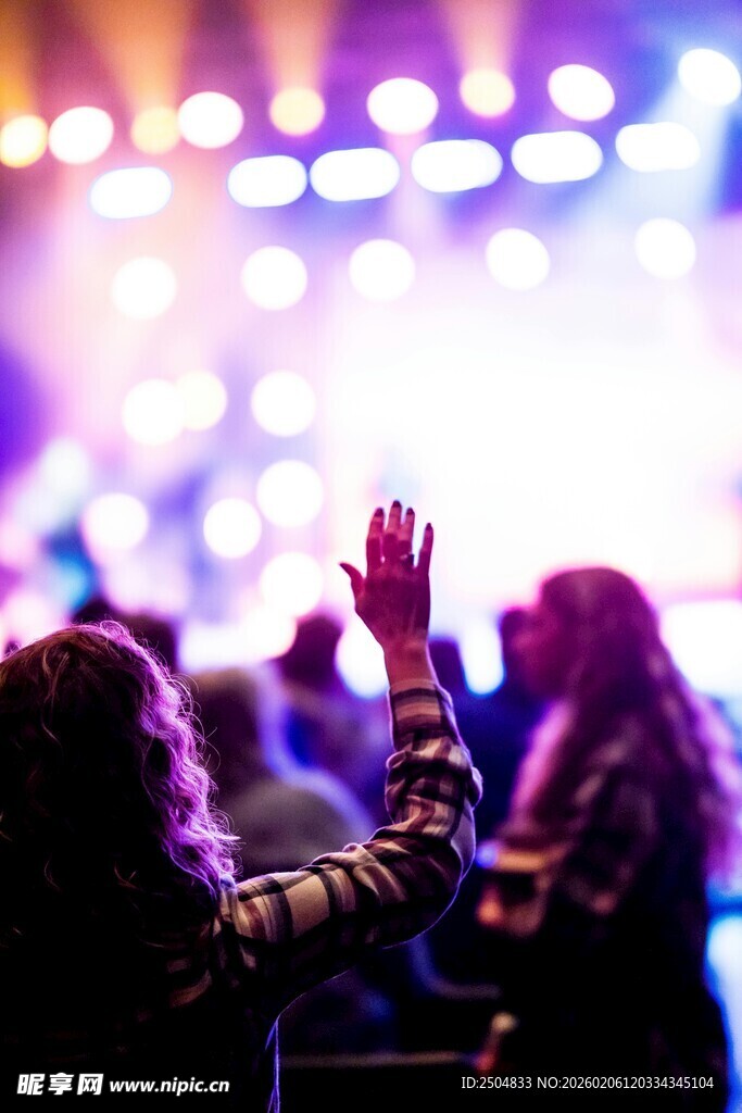 现场音乐会中的热情观众