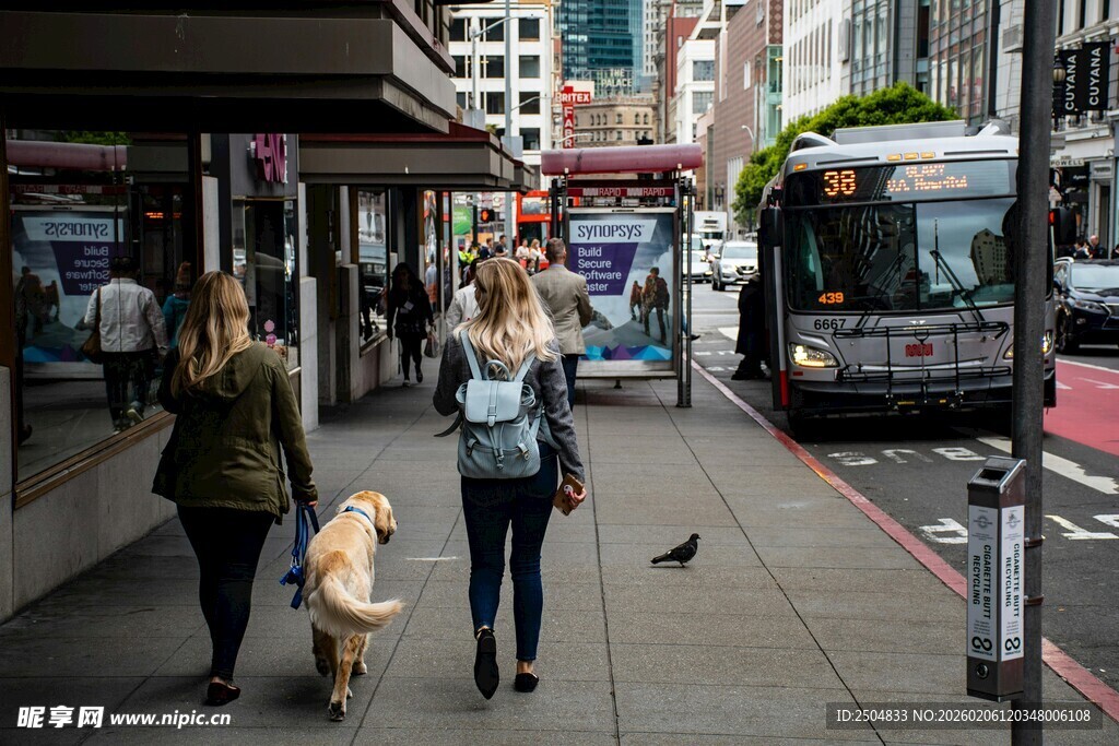 城市街道行人与宠物同行