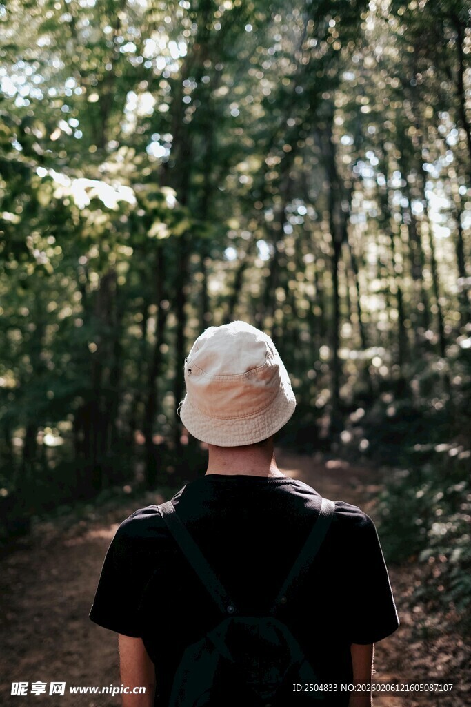 林间背影 独自漫步的旅人