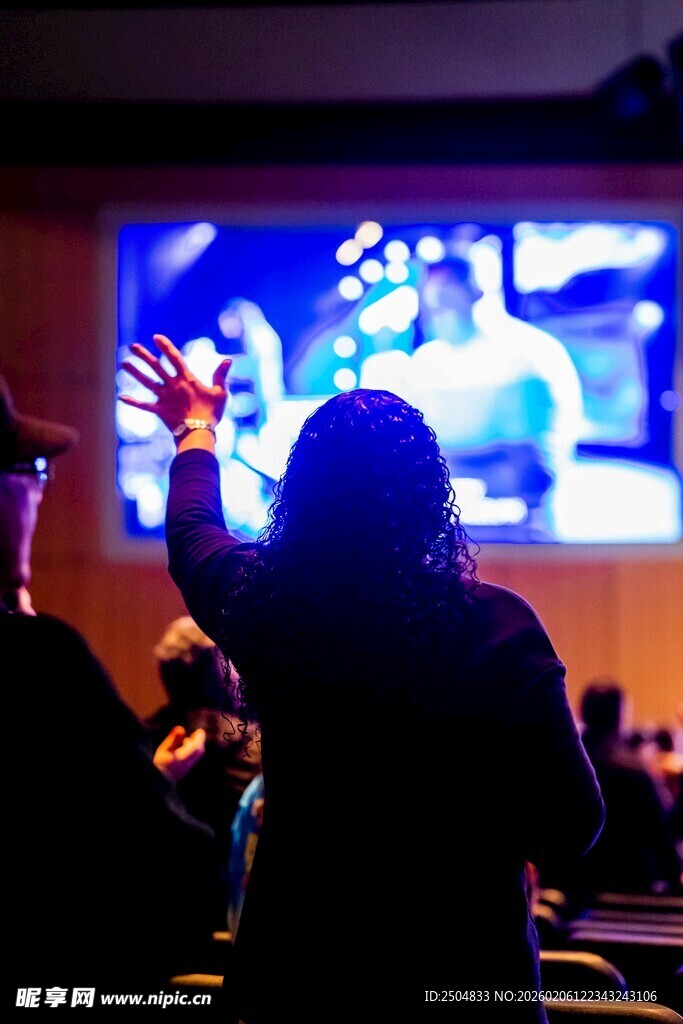 观众热情欢呼演唱会现场