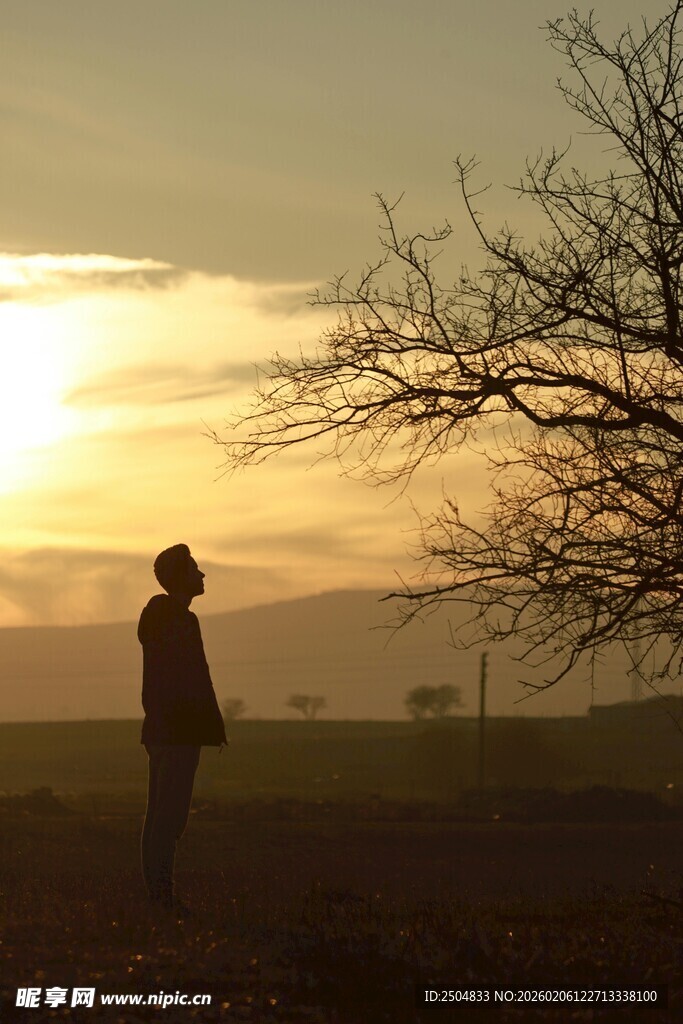 夕阳下的孤独旅人