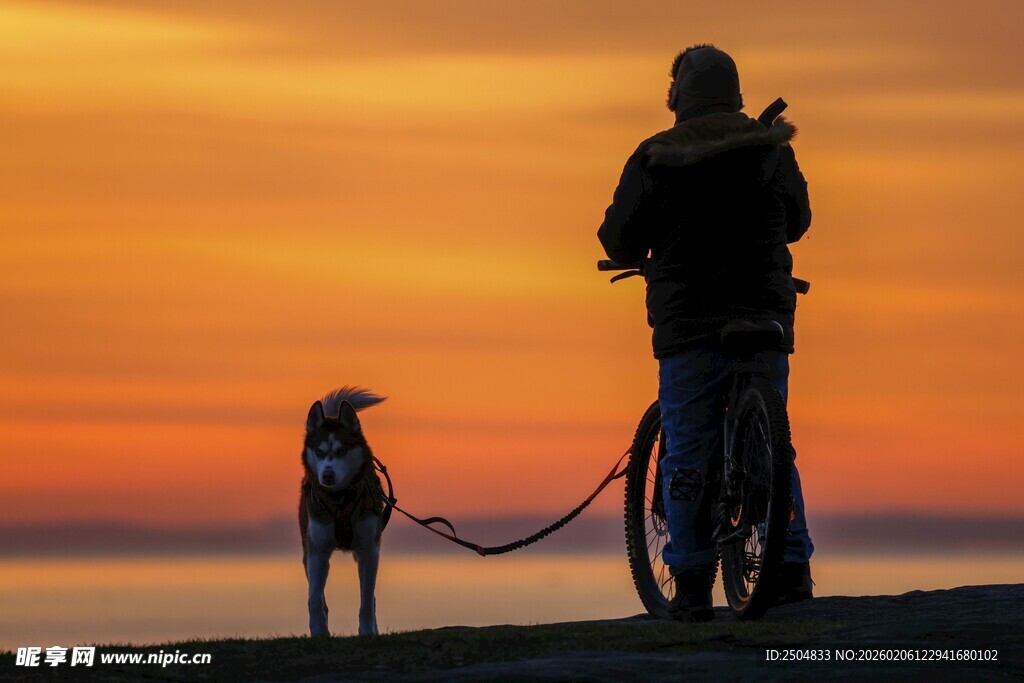 夕阳下人与狗的温馨骑行