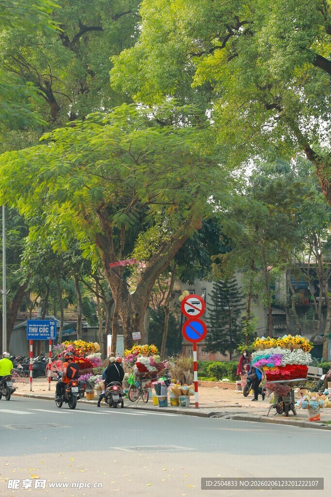 街头多彩三轮车与繁茂大树