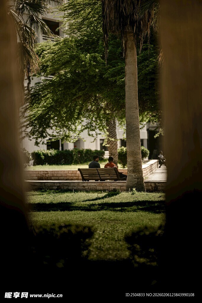 庭院绿荫下的静谧景致