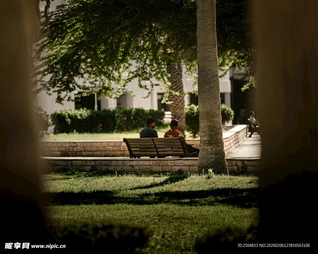 庭院中的静谧休闲场景