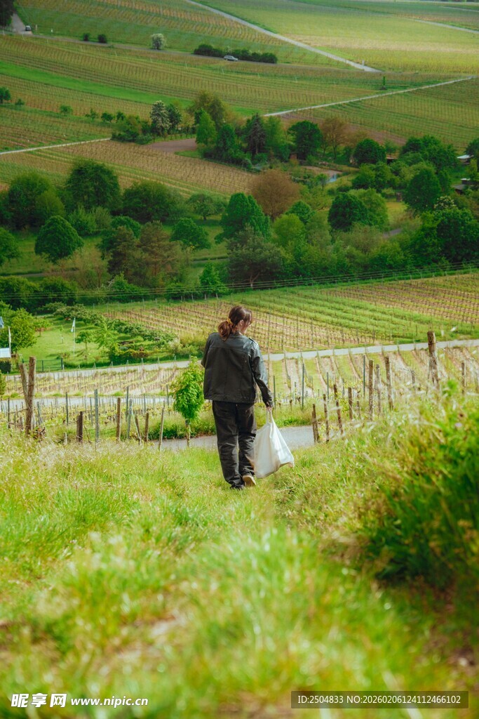 漫步田园间的行人