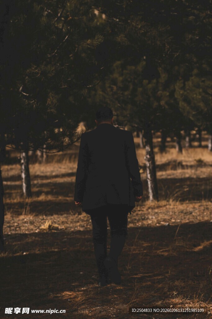 独行者漫步于林间小道