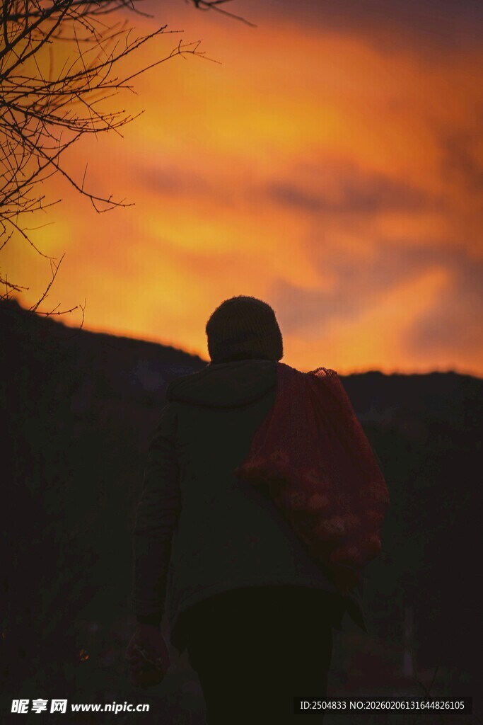 夕阳下的独行者