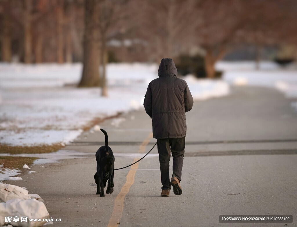 冬日一人一犬漫步小路