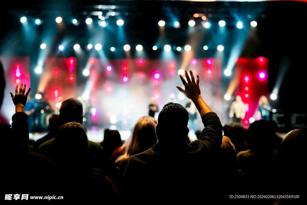 热闹演唱会现场观众身影
