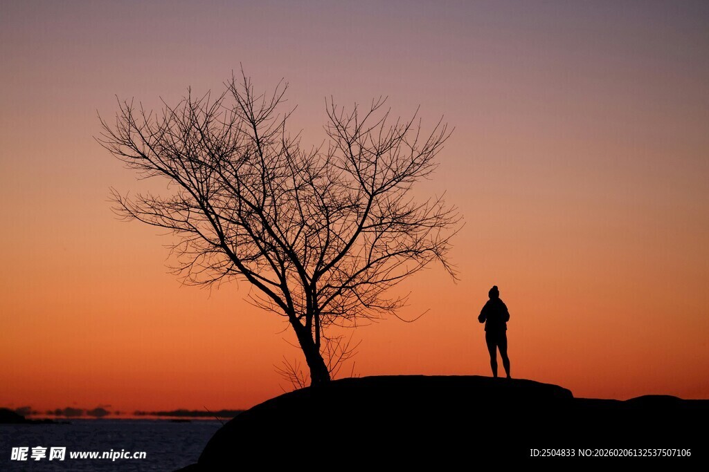 夕阳下孤树旁的伫立者