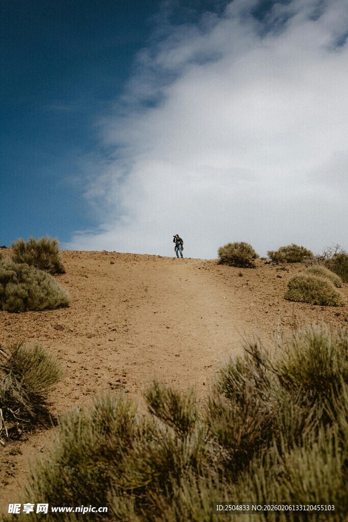 一人漫步于荒野小径