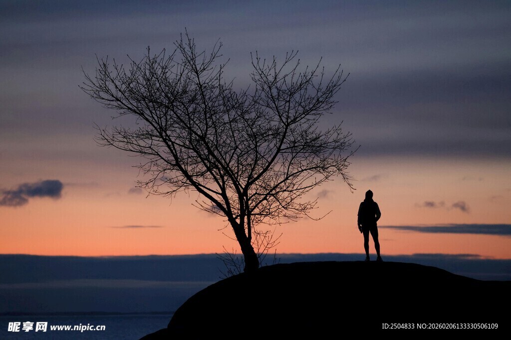 黄昏下一人一树的孤独剪影