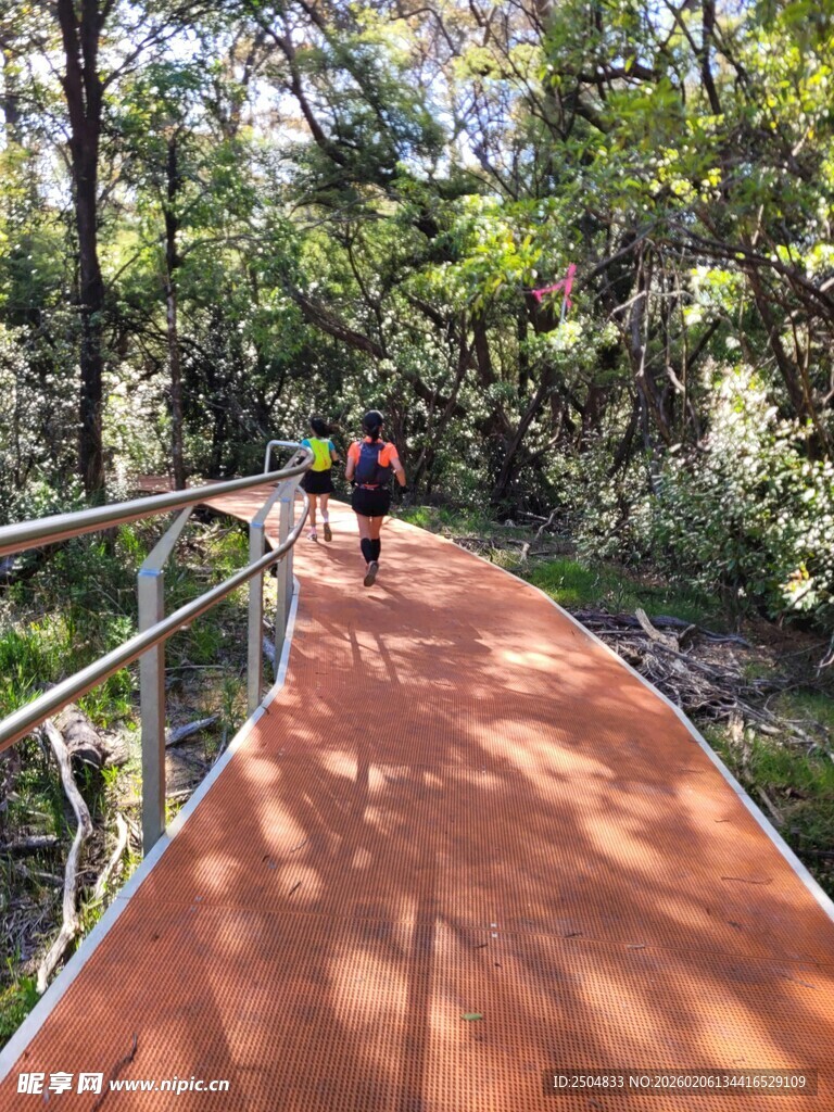 林间漫步道上的徒步者