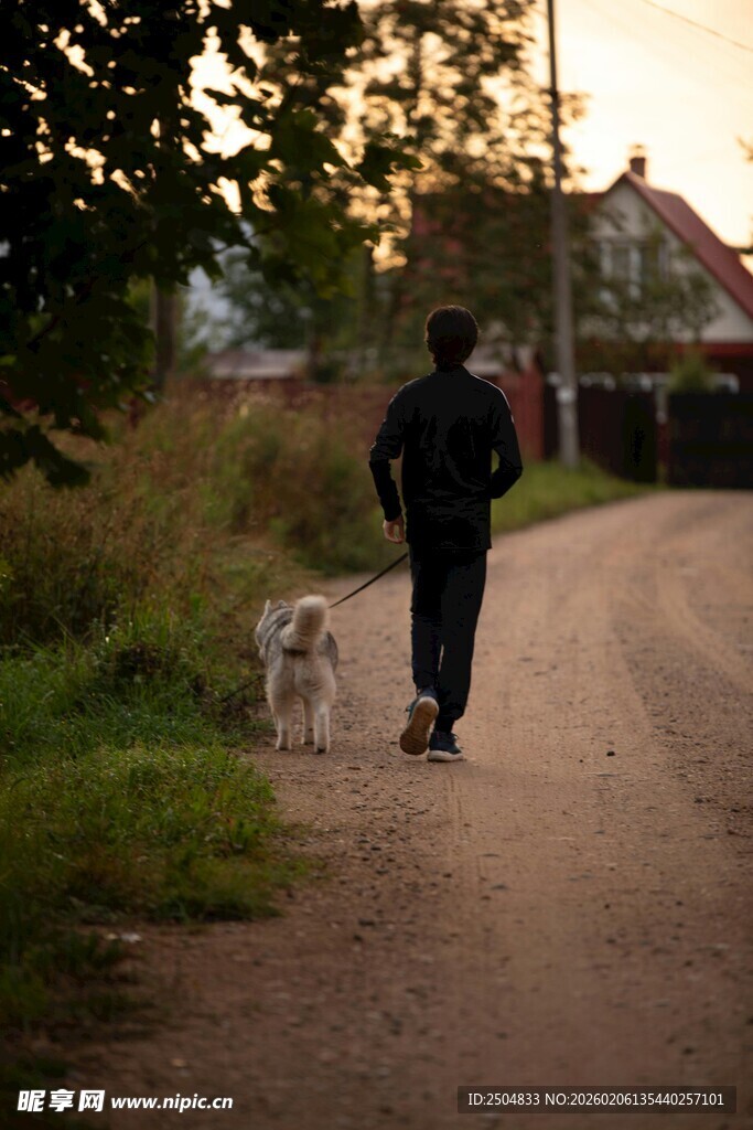 黄昏下一人一狗漫步乡间