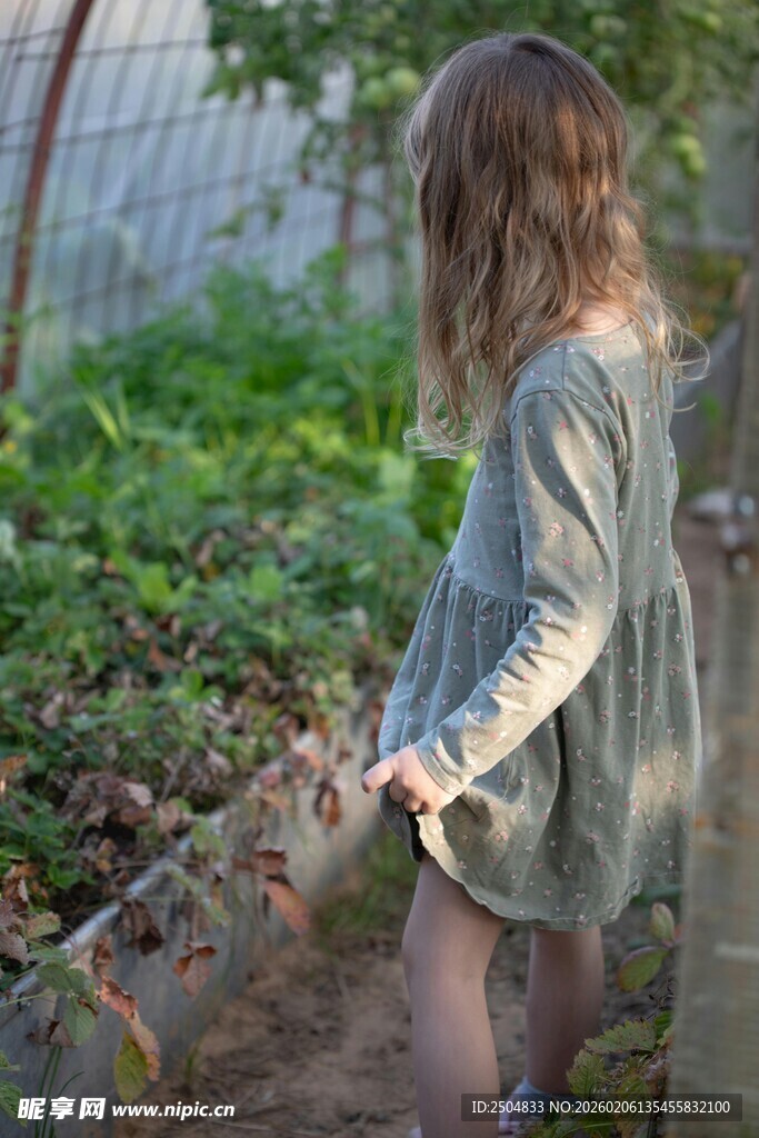 小女孩在花园专注探索