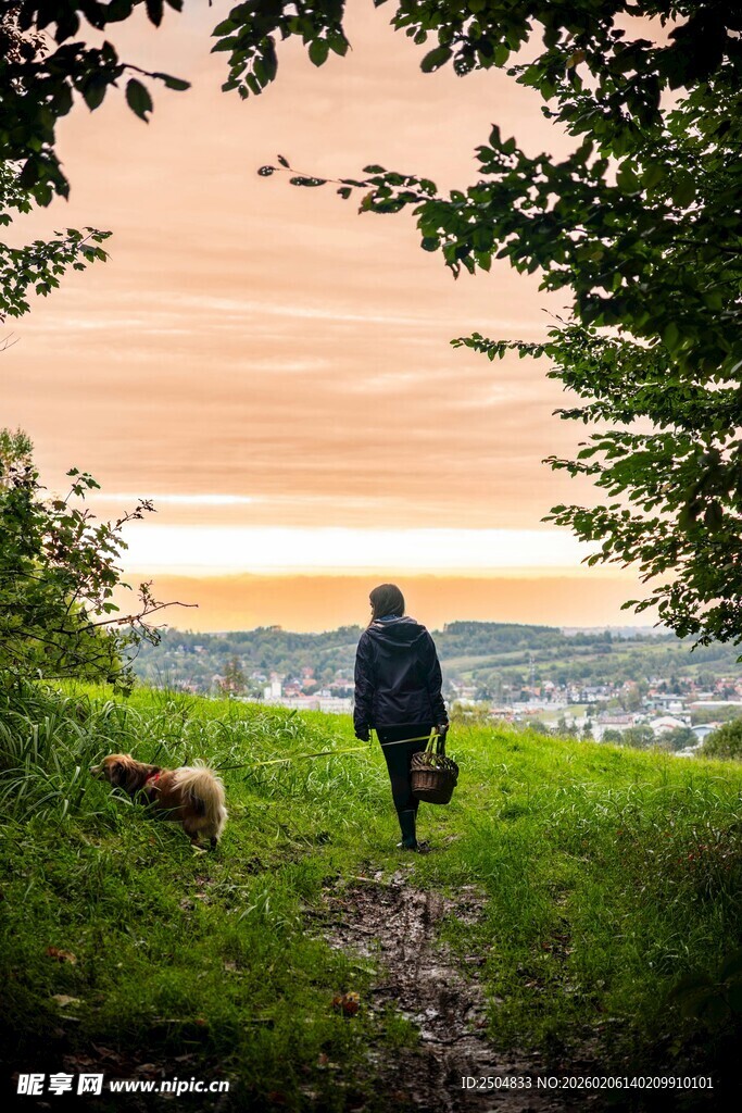 漫步山间的一人一犬