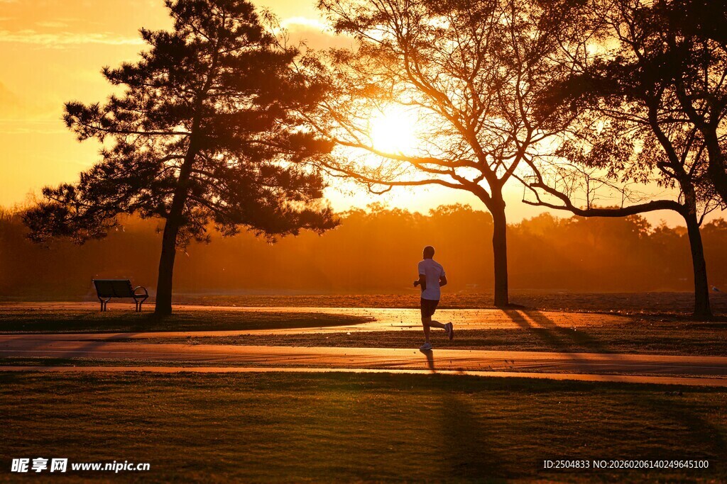 夕阳下公园中的漫步身影