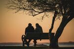 夕阳下长椅上的亲密身影