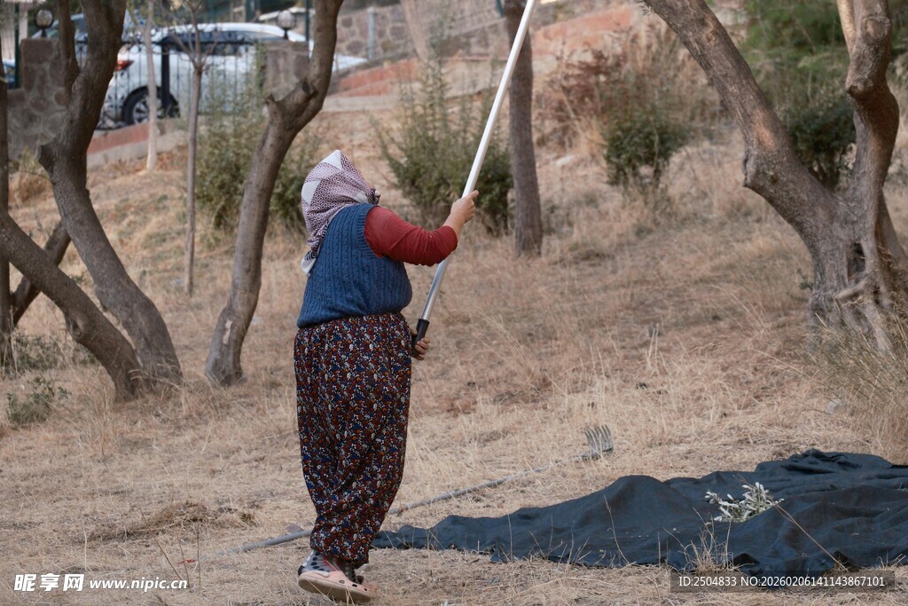 农妇在野外劳作场景