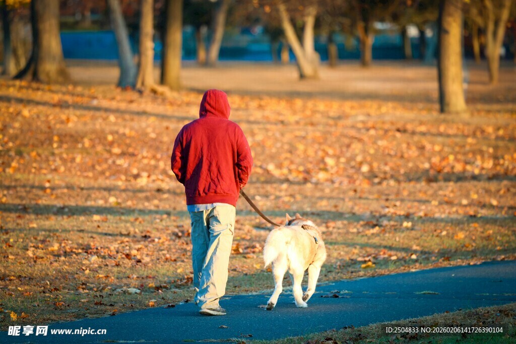 男子冬日与狗漫步公园