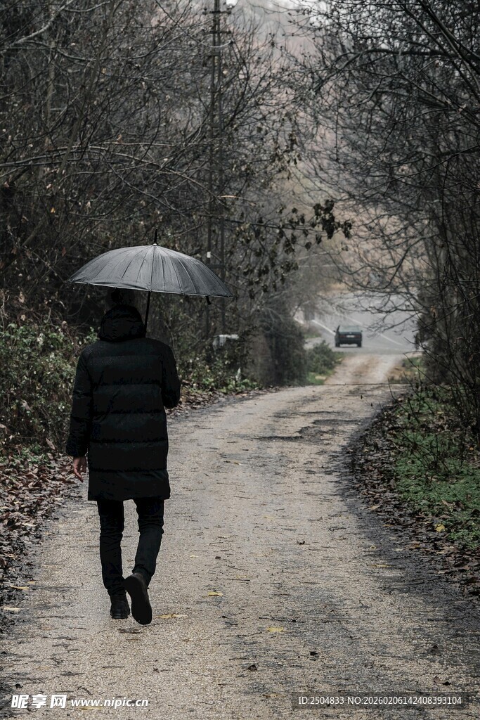 雨中独行者漫步乡间小道