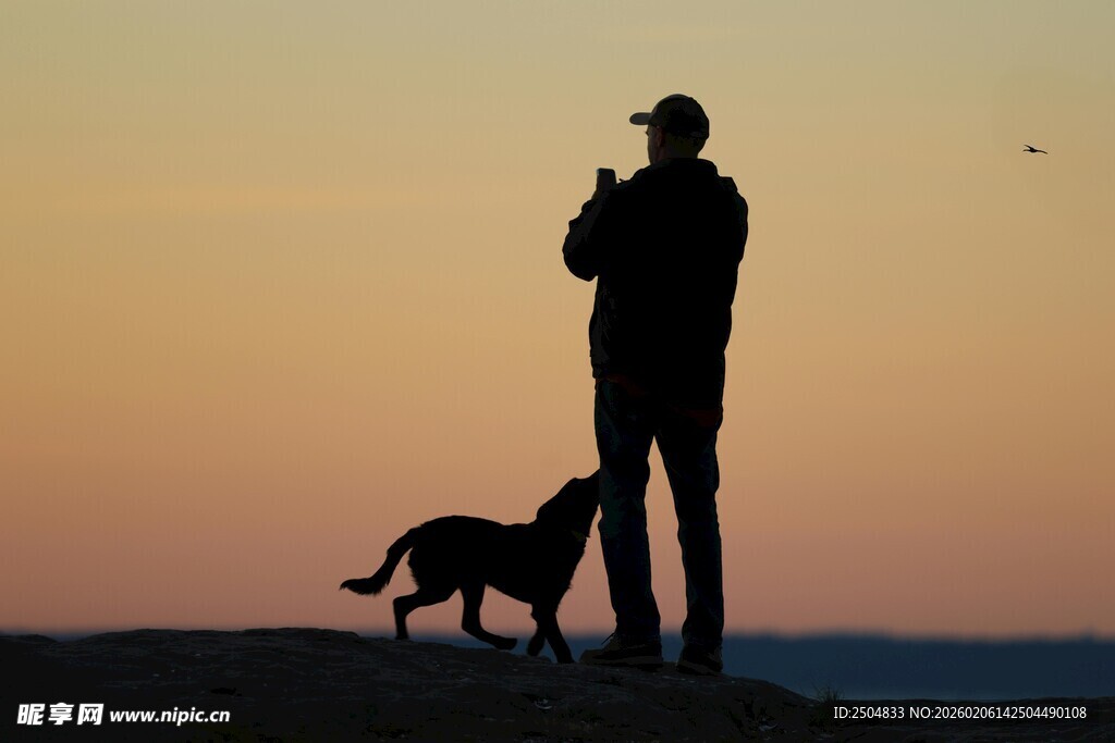 黄昏下人与狗的温馨剪影