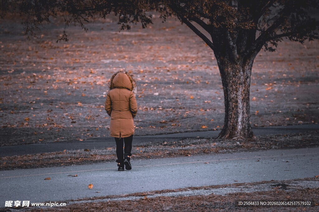 冬日树下独站的温暖身影