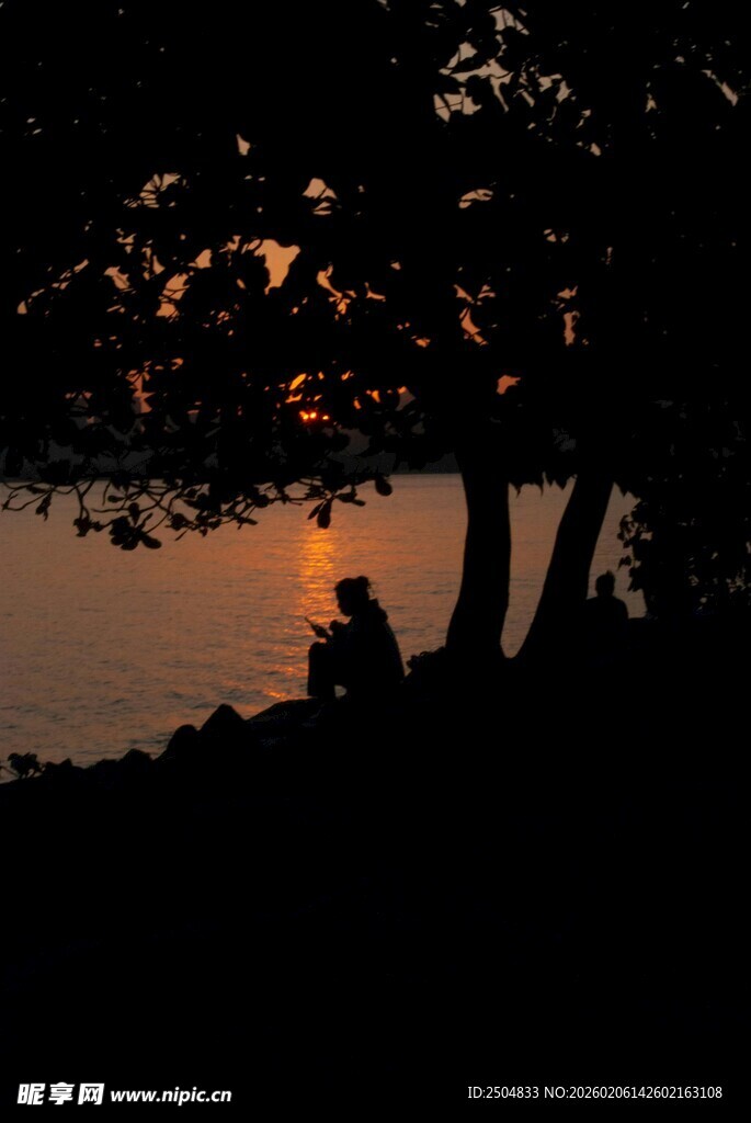 夕阳下树下的静谧身影