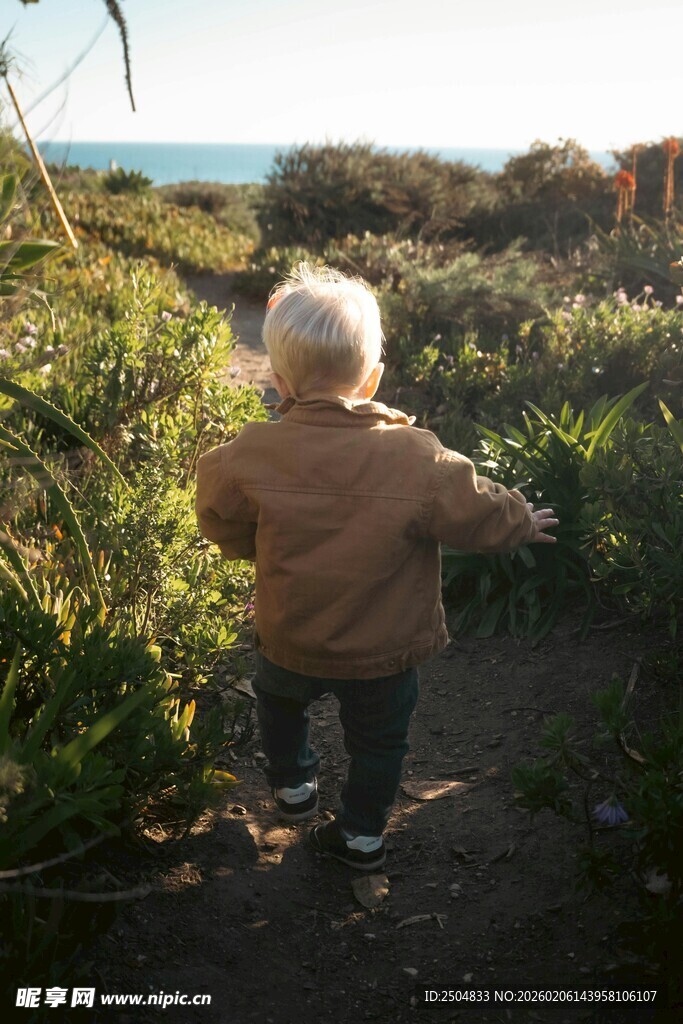 幼儿漫步于绿植环绕小径