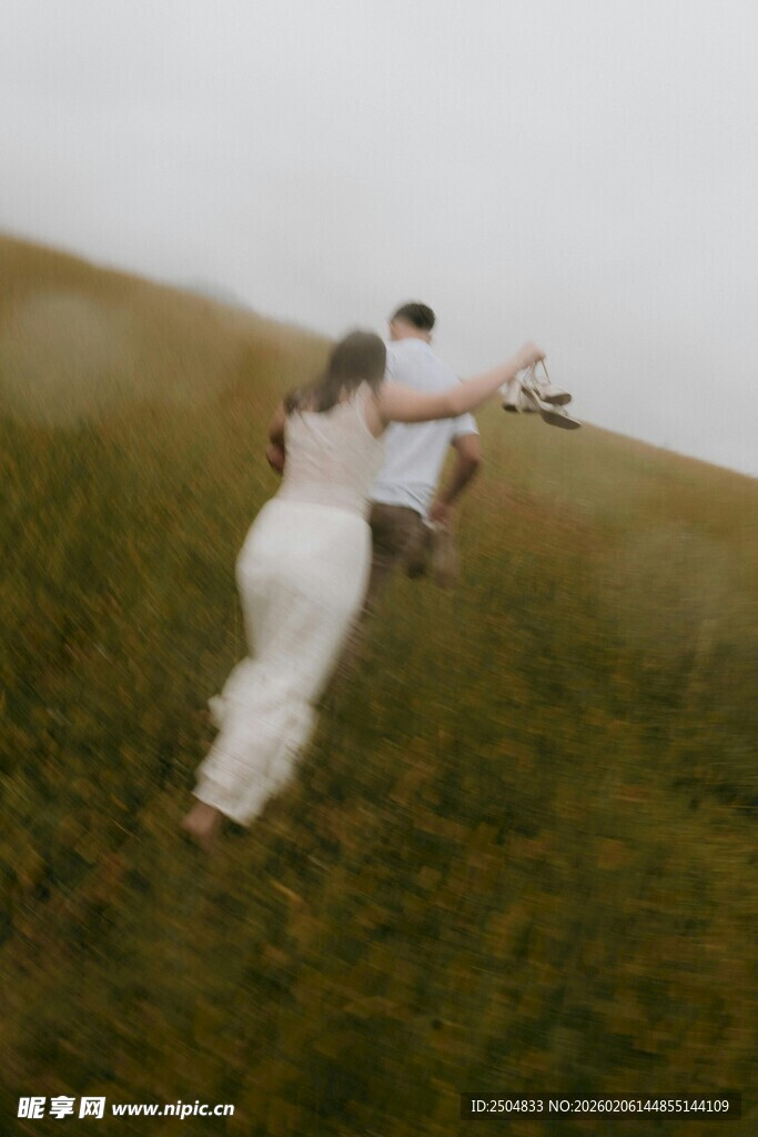 草地上相拥的浪漫情侣