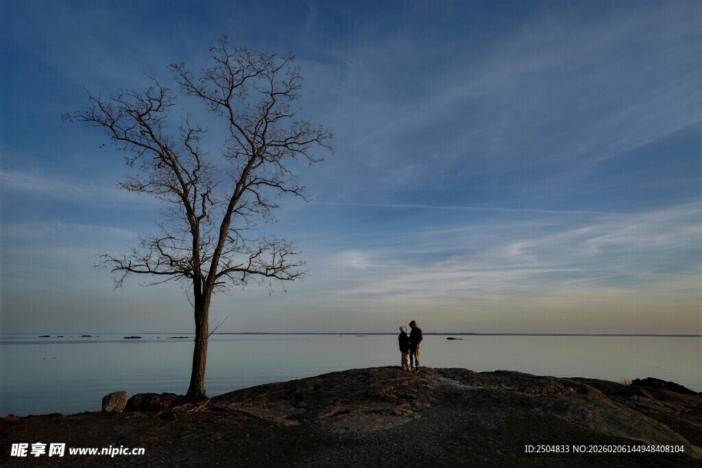 孤树旁的人眺望远方