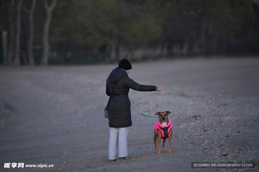 女子户外与萌犬温馨互动